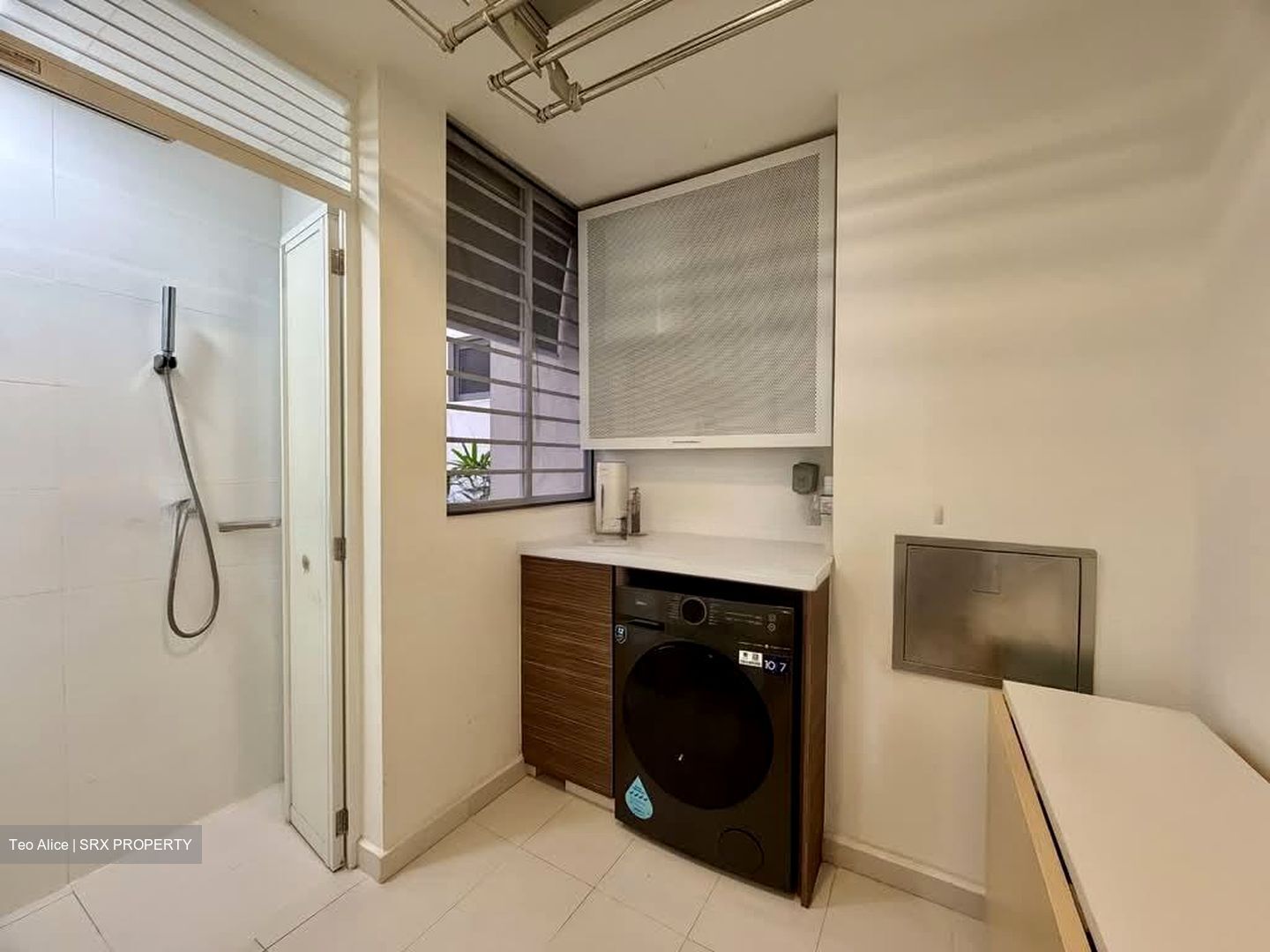 Watertown (D19), Apartment #536520731